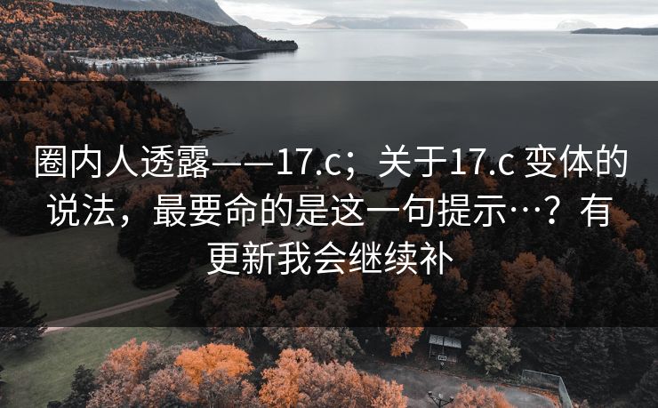圈内人透露——17.c；关于17.c 变体的说法，最要命的是这一句提示…？有更新我会继续补