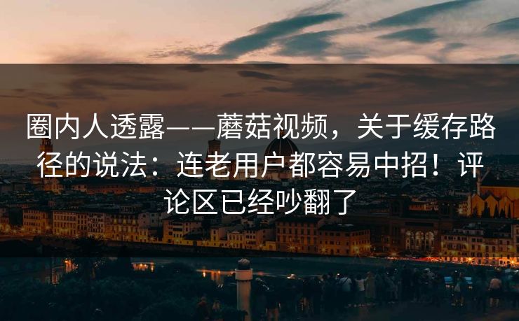 圈内人透露——蘑菇视频，关于缓存路径的说法：连老用户都容易中招！评论区已经吵翻了