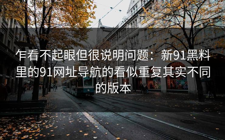乍看不起眼但很说明问题：新91黑料里的91网址导航的看似重复其实不同的版本